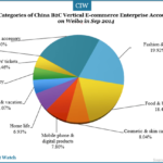 categories-of-china-b2c-vertical-e-commerce-enterprise-accounts-1