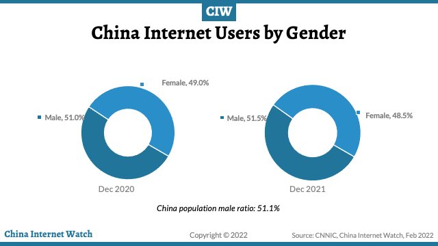 China internet users by gender