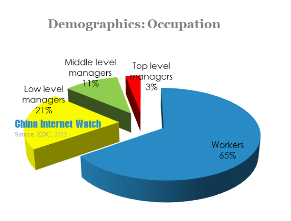 demographics-occupation