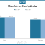 China internet user snapshot 2023