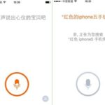 taobao voice search