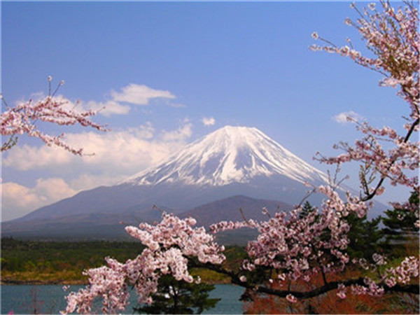 chinese tourists to japan